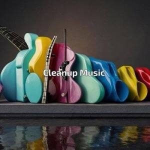  VA - 2025 Cleanup Music