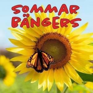  VA - Sommar Bangers
