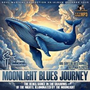  VA - Moonlight Blues Journey