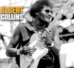  Albert Collins - 24 Albums