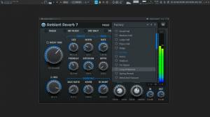 Stone Voices - Ambient Reverb 7 7.1.7 VST, VST 3 [En]