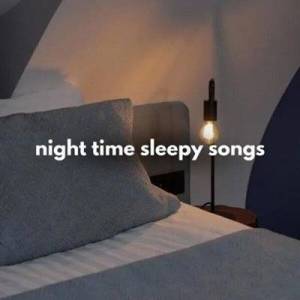 VA - night time sleepy songs