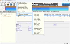 DiskGenius Professional 6.0.1.1645 [Multi/Ru]