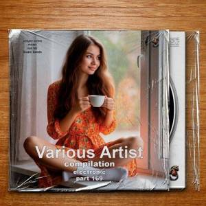  VA - Compilation Part 169 Electronic