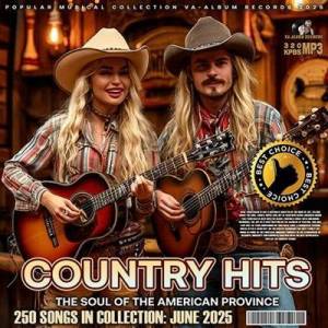  VA - Country Hits