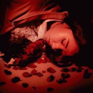  Coming Up Roses - How Did We Fall So Far?