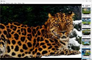 MediaHuman mTube 2.9.9.14 (0615) RePack (& Portable) by elchupacabra [En]