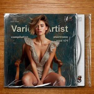  VA - Compilation Part 171 Electronic