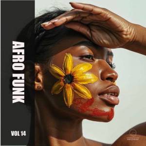  VA - Afro Funk Vol 14