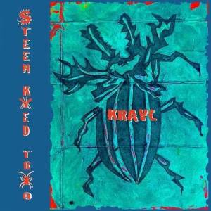  Steen Kyed Trio - Kravl