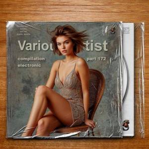  VA - Compilation Part 172 Electronic