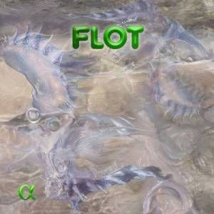  Nicolas Worms - Flot
