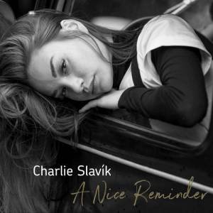  Charlie Slavik - A Nice Reminder